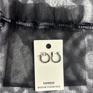 Express Elegant Silver Earrings